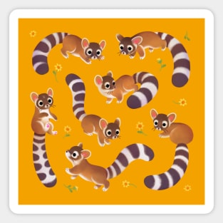 Ringtail Magnet